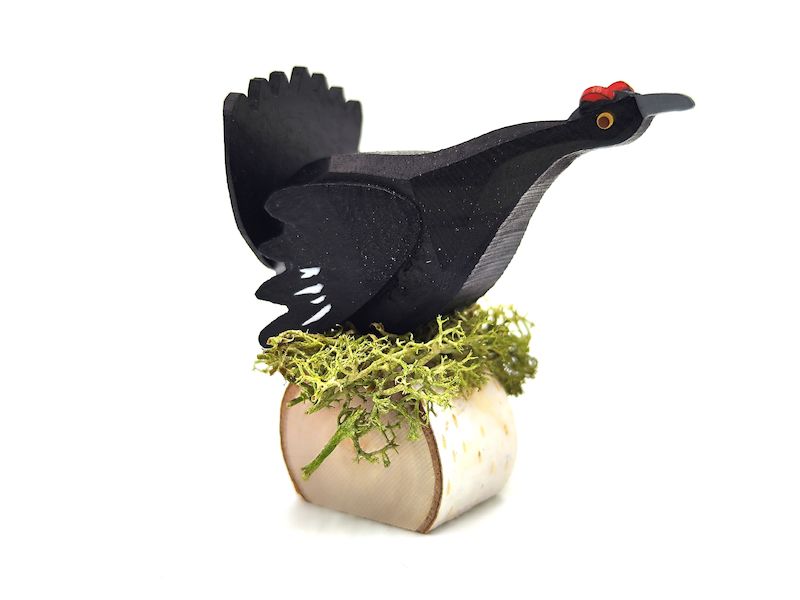 Vögel&nbsp;13/094
